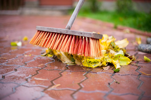 A Cleaner Yard, A Happier Pet: Benefits of Using a Pet Waste Disposal System