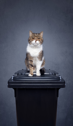 Eco Friendly Pet Waste Disposal