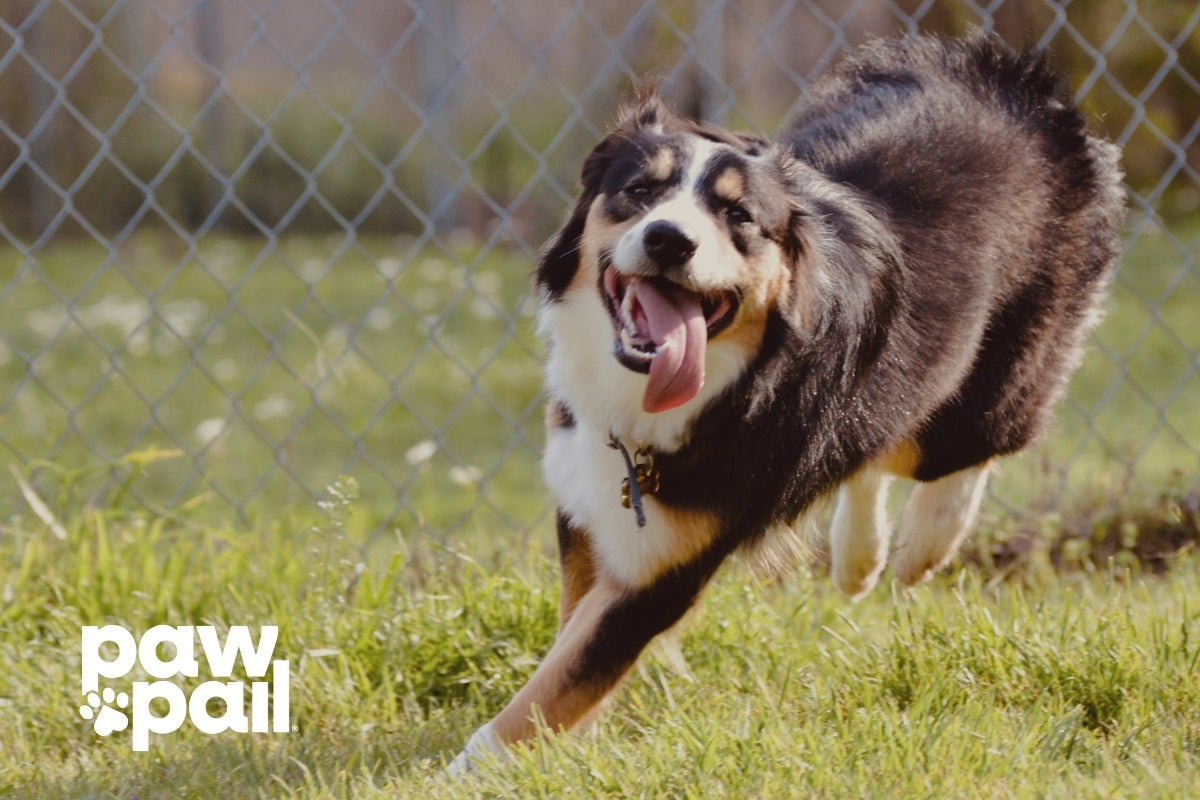 How to Eliminate Bacteria in Your Waste Station with Safe Cleaners