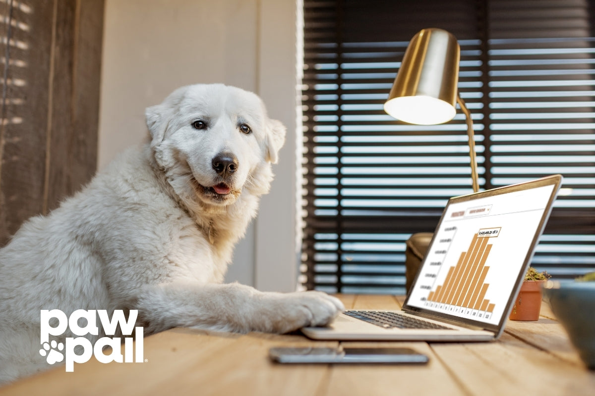 The Truth Behind White Worms in Dog Poop: Causes and Prevention Tips