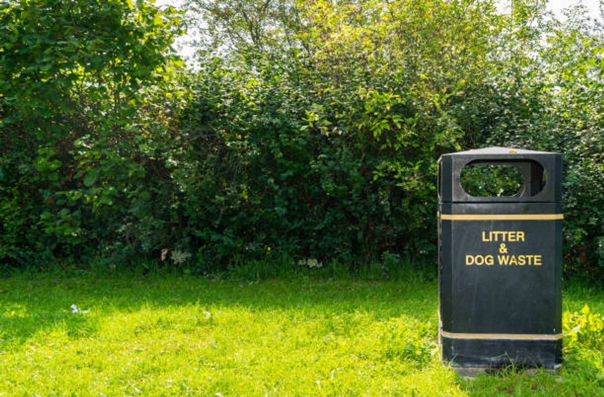 Litter & dog waste