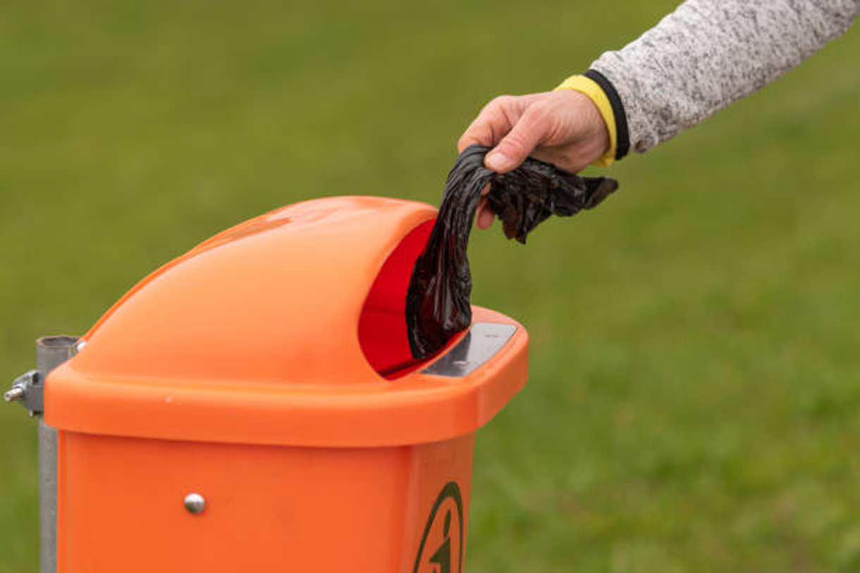 Dispose of waste in the container