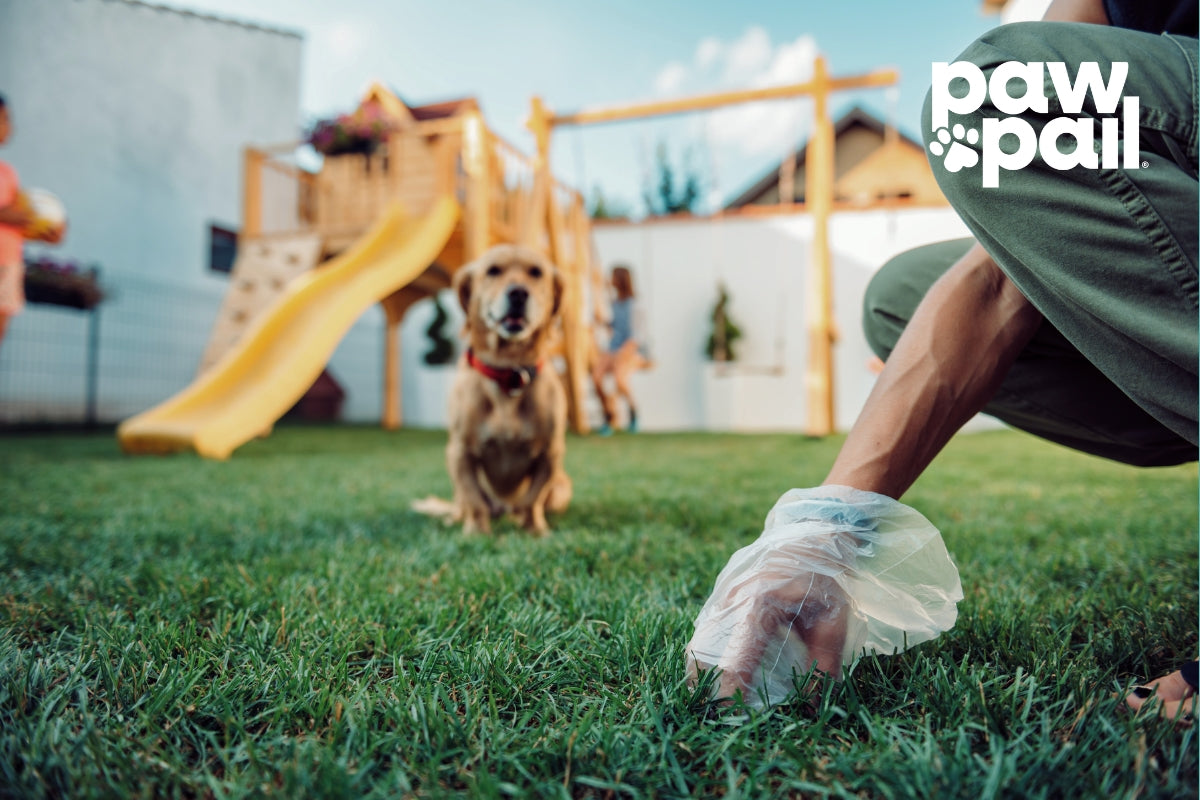 What Do Parasites Look Like in Dog Poop and When to Seek Help