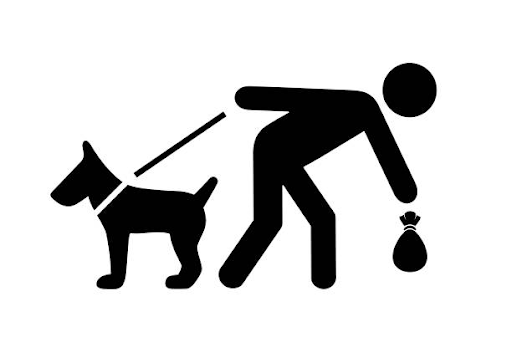 The Top Safety Features to Look for in a Dog Waste Container