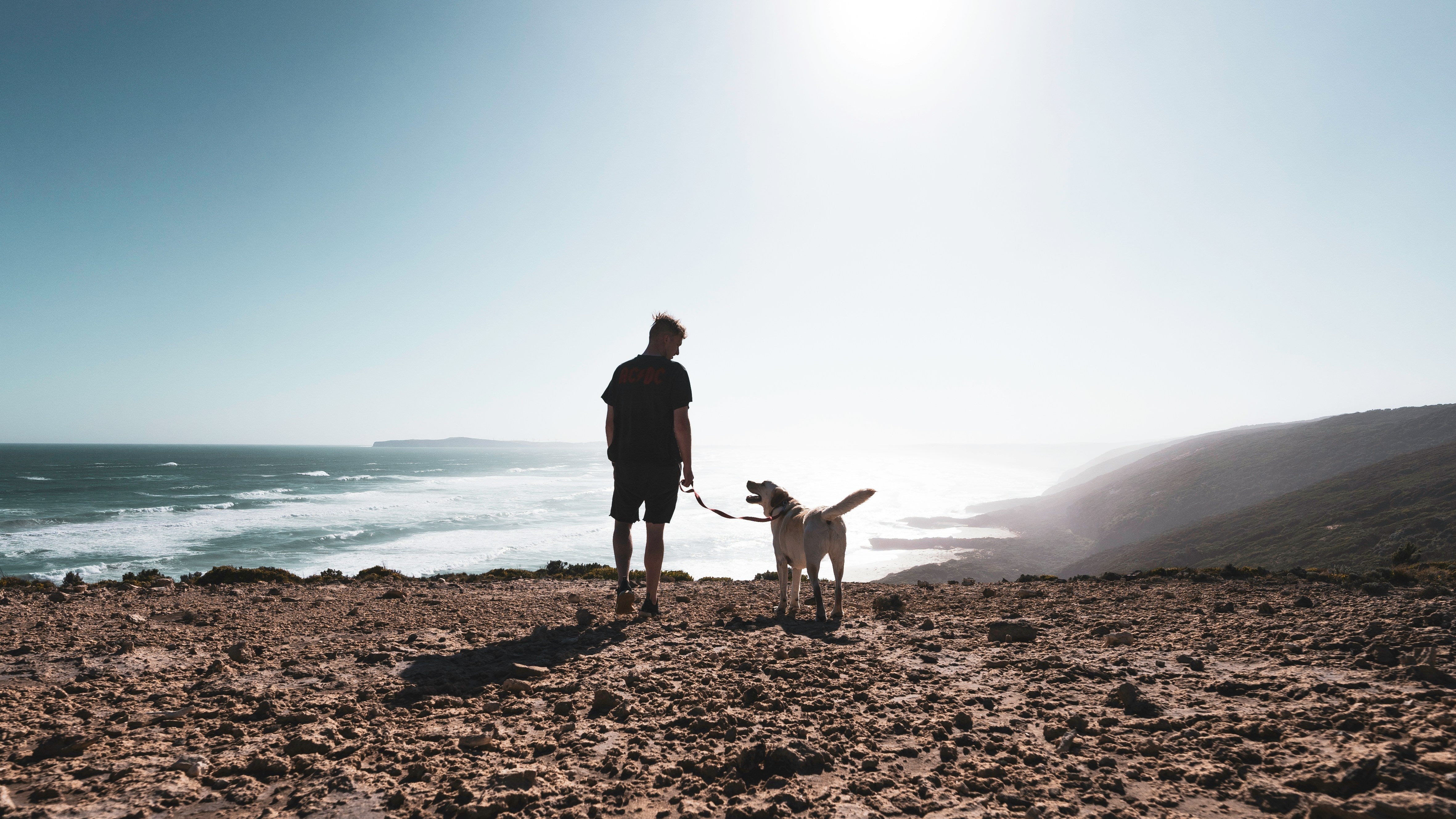 a dog and its owner standing on a beach