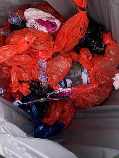 Is it necessary to use Dog poop container when you are outside from your home