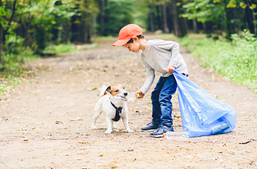 Handle Dog Waste in Your Backyard