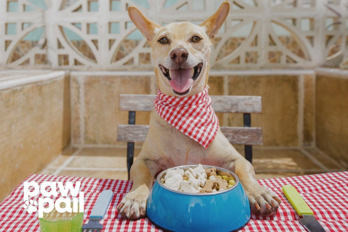 How Different Diets Affect Dog Stool Quality