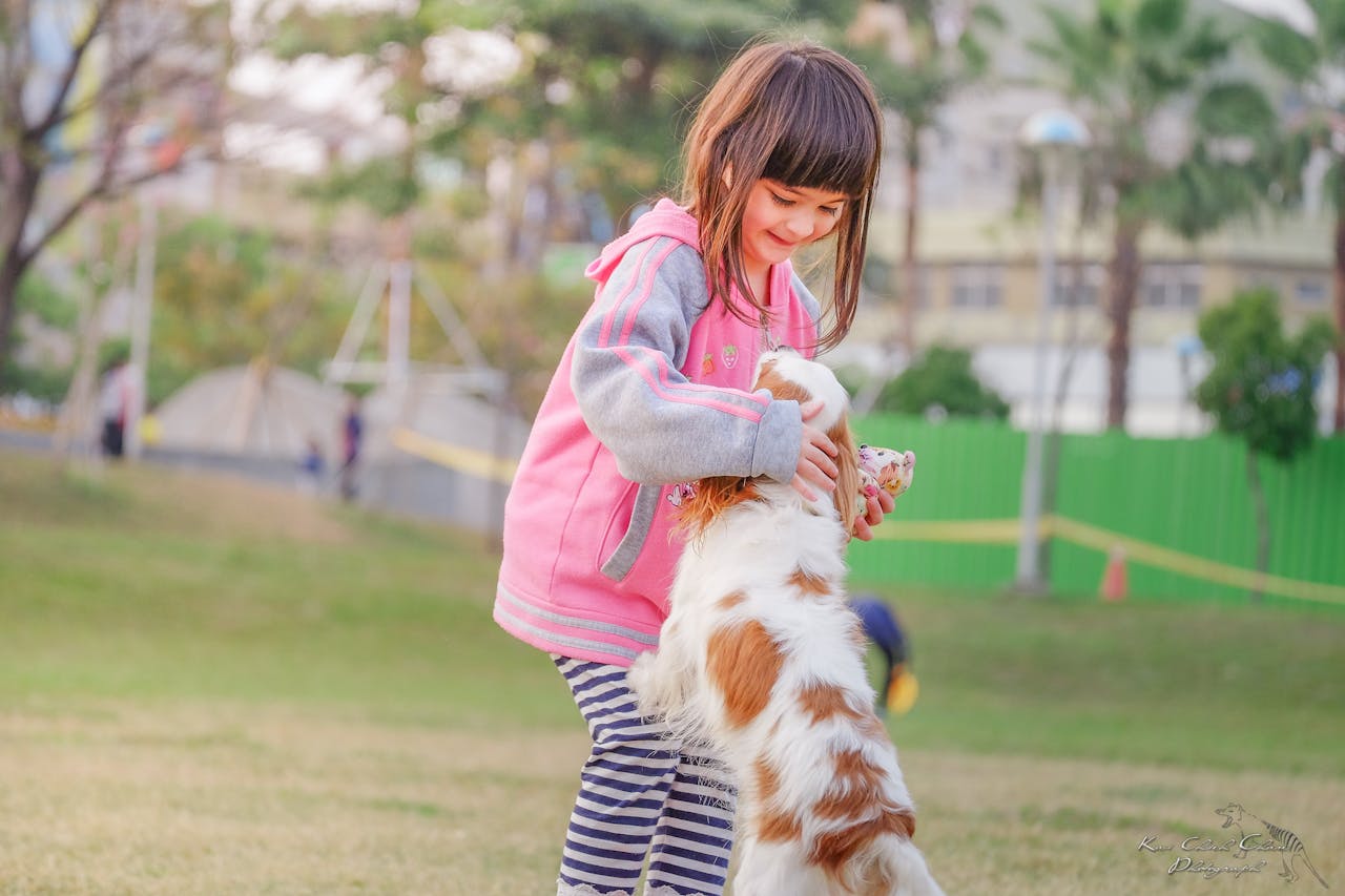 Keeping Your Local Dog Park Clean: A Brief Guide for Responsible Pet Owners