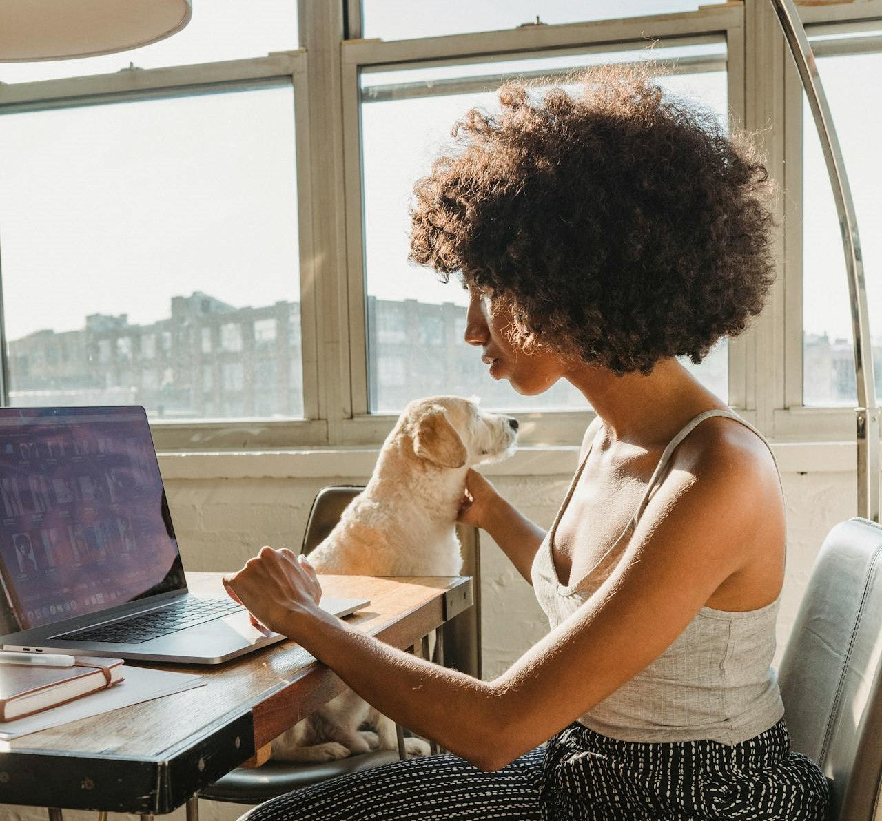 3 Essentials for Owning a Dog in an Apartment