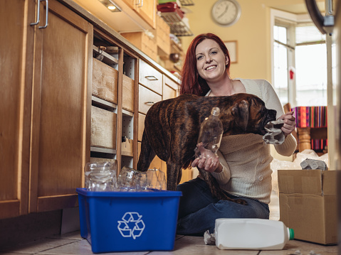 Pet Waste Disposal: Smart Solutions for Pet Owners