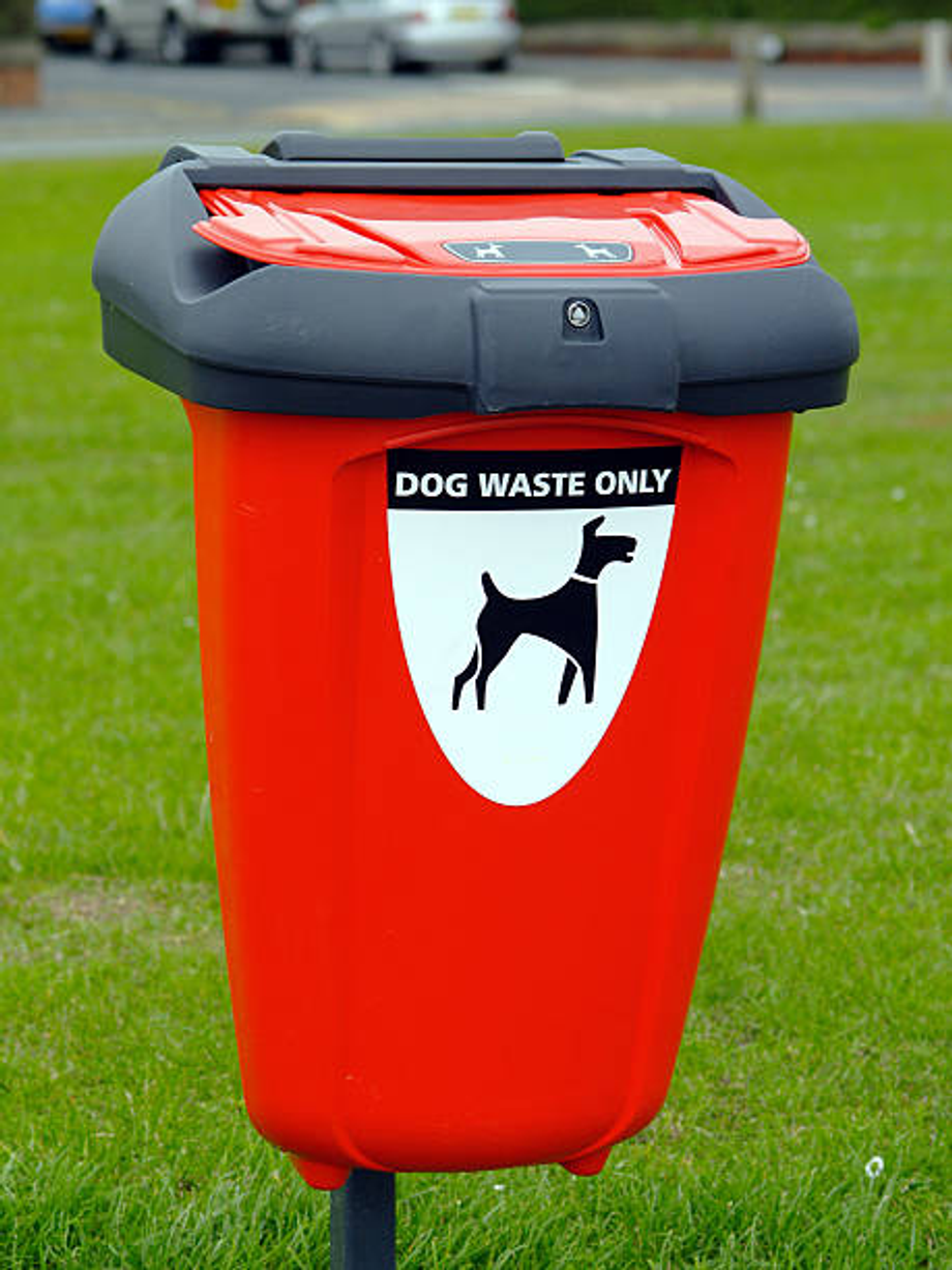 Dog waste container