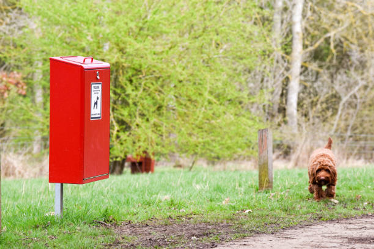 Clean up after your pet with the container