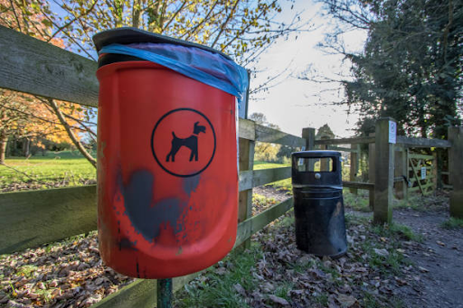 How Dog Poop Stations Are Helping to Create Cleaner and More Livable Cities