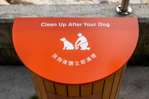 No More Dog Poop Woes: Trash Can Solutions You Need