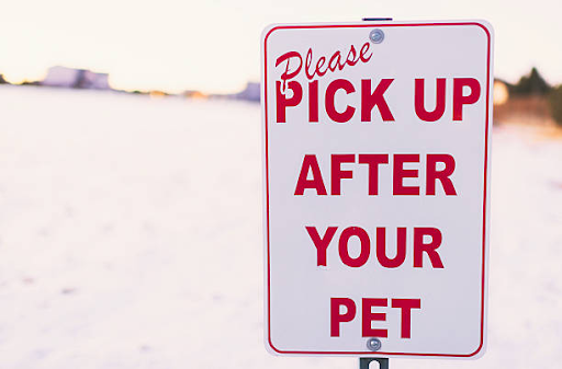 The Importance of Proper Dog Waste Disposal: Why You Need a Dog Waste Station