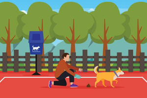How Pet Waste Stations Can Improve Public Health and Safety