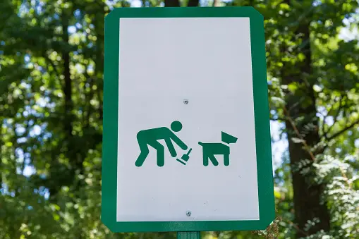 The Essential Guide to Choosing the Right Dog Poop Disposal System