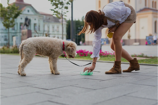 Why Every Dog Owner Needs a Reliable Dog Poop Disposal System