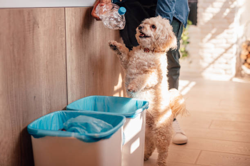 Role of Dog Waste Stations