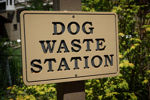 Dog waste station